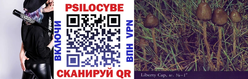 Псилоцибиновые грибы Psilocybine cubensis Купить закладки Великий Устюг
