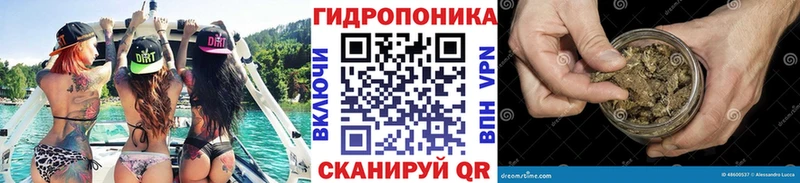 МАРИХУАНА Amnesia  Купить закладки  Великий Устюг 